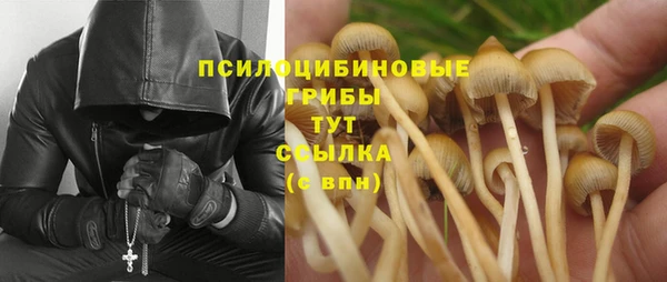 прущая мука Корсаков