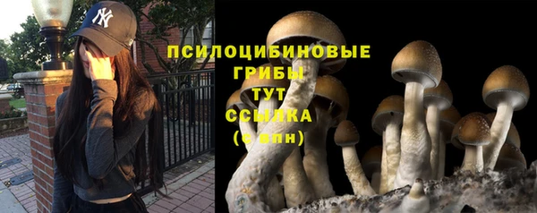 стафф Костерёво