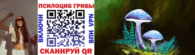 Галлюциногенные грибы Psilocybine cubensis  Коряжма 