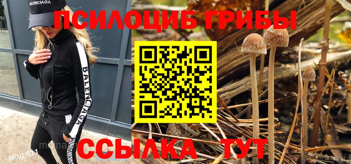 Коряжма  Псилоцибиновые грибы Psilocybe  Вход с VPN 