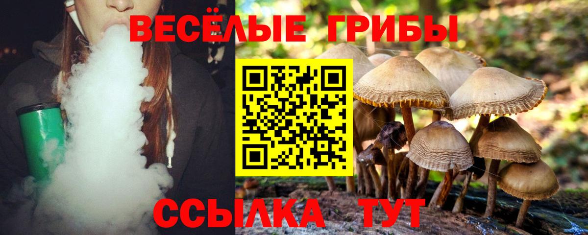 НБОМе  Коряжма  Канабис  Мефедрон   ГАШ  COCAIN  Вход с VPN 